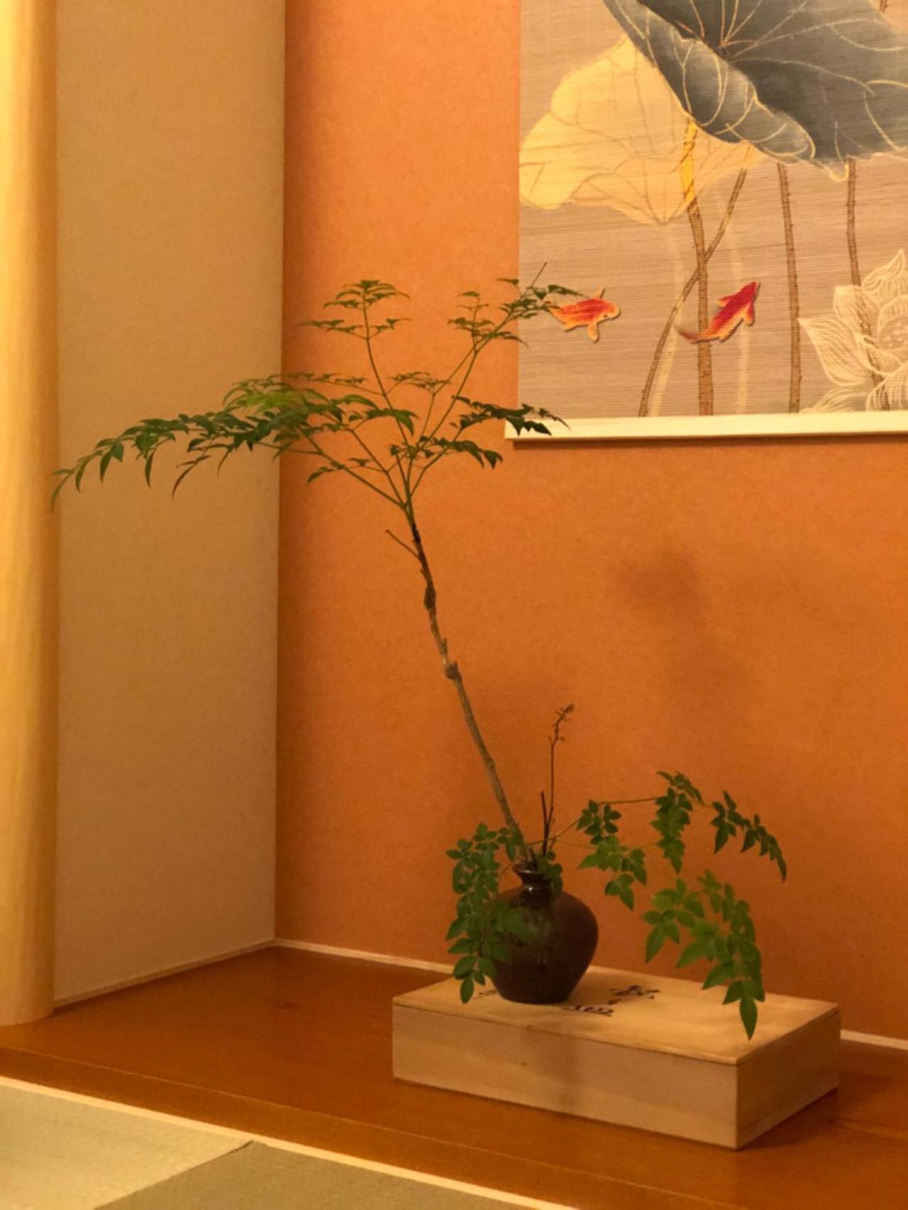 静雅の宿 Kiotó Kültér fotó