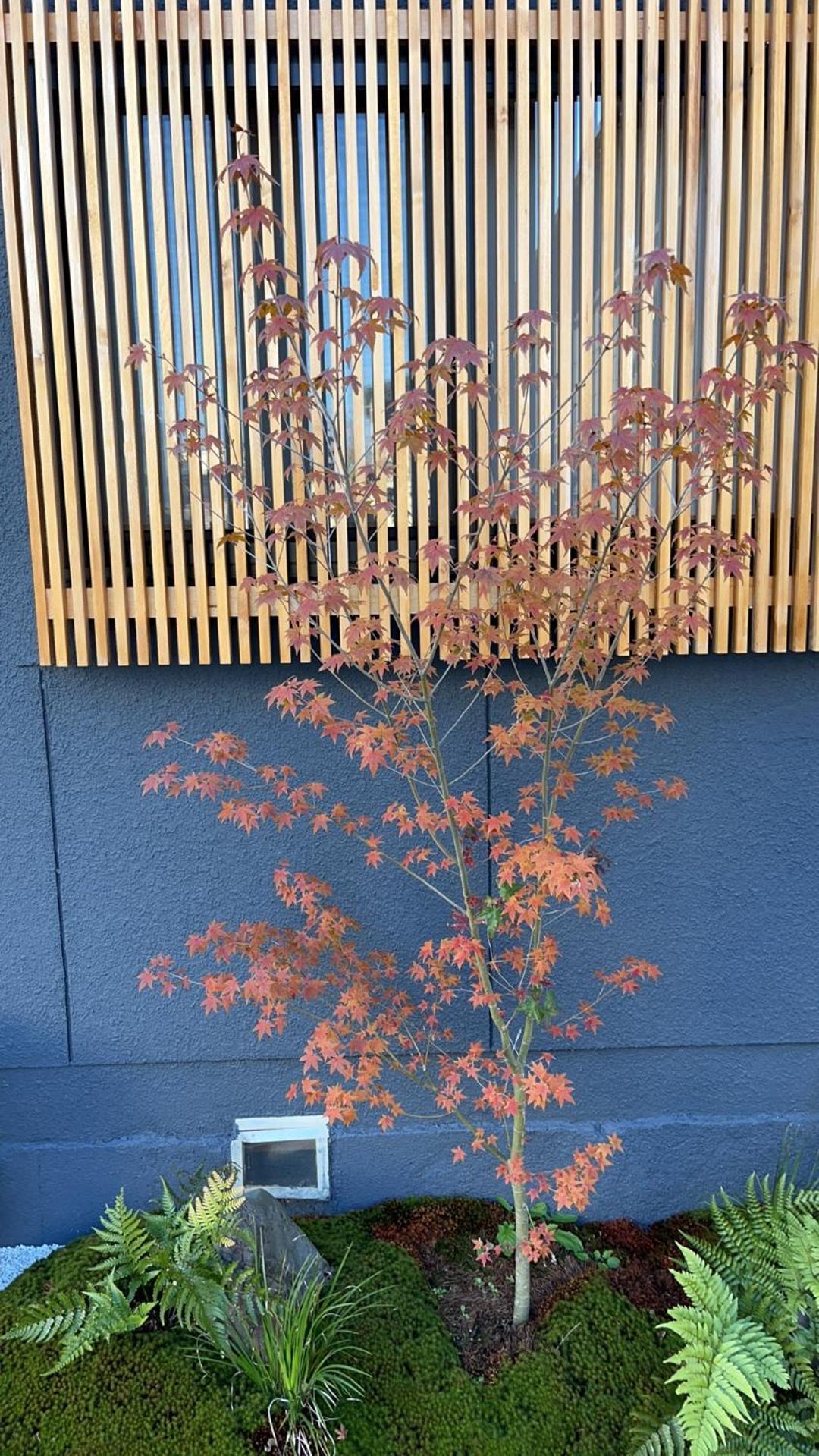 静雅の宿 Kiotó Kültér fotó