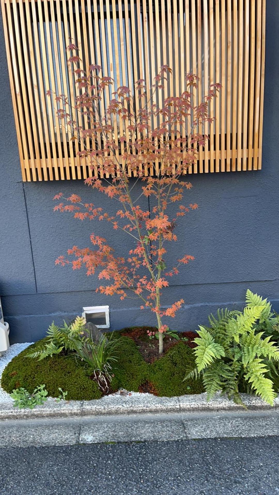 静雅の宿 Kiotó Kültér fotó